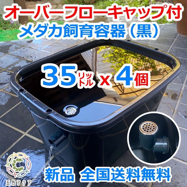 【新タイプ】メダカ飼育容器 35㍑ 黒x4個 オーバーフローキャップ付 メダカ飼育ケース 金魚 産卵 ビオトープ 【五色アクア】