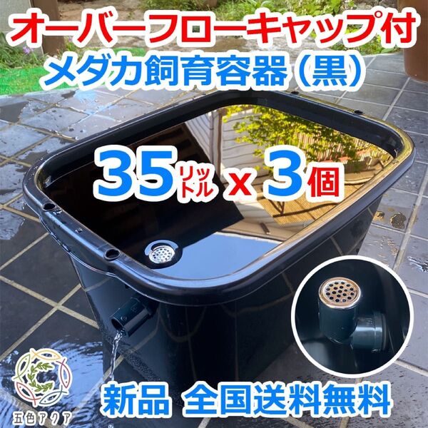 【新タイプ】メダカ飼育容器 35㍑ 黒x3個 オーバーフローキャップ付 メダカ飼育ケース 金魚 産卵 ビオトープ 【五色アクア】