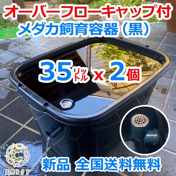 【新タイプ】メダカ飼育容器 35㍑ 黒x2個 オーバーフローキャップ付 メダカ飼育ケース 金魚 産卵 ビオトープ 【五色アクア】