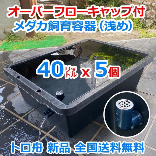 【新仕様】メダカ飼育ケース 40㍑トロ舟x5個 オーバーフロー対策済 メダカ飼育容器 豪雨対策 ビオトープ 水草【五色アクア】