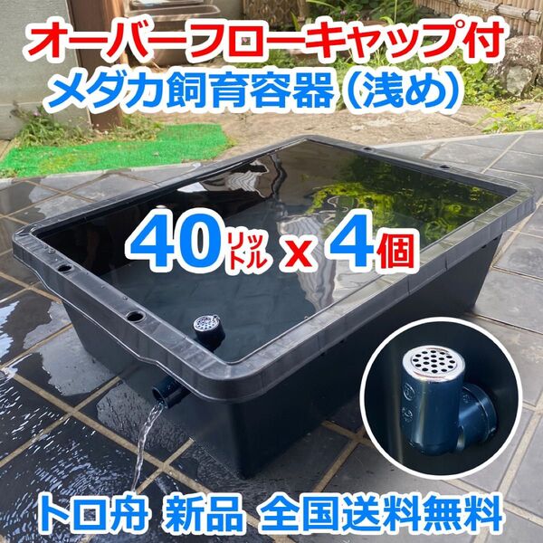 【新仕様】メダカ飼育ケース 40㍑トロ舟x4個 オーバーフロー対策済 メダカ飼育容器 豪雨対策 ビオトープ 水草【五色アクア】