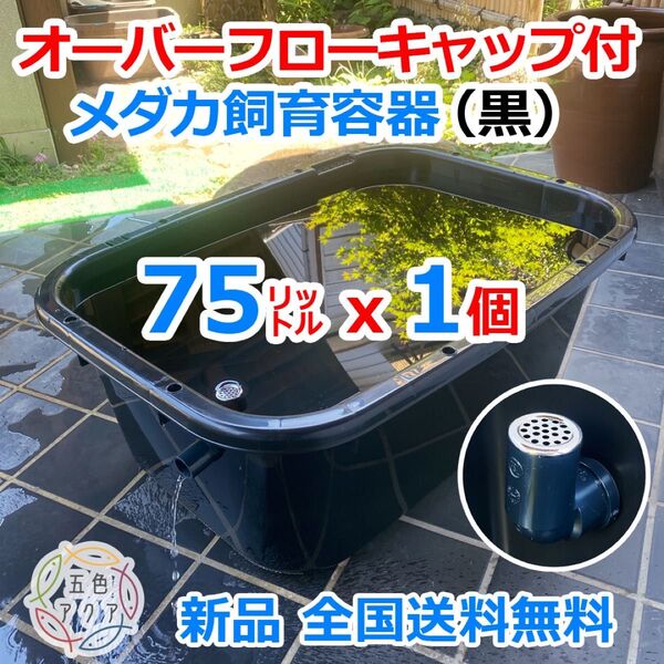 【新仕様】メダカ飼育ケース 75㍑黒x1個 オーバーフロー加工済 メダカ飼育容器 金魚飼育容器 ビオトープ 金魚鉢 五色アクア