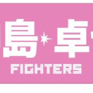 北海道日本ハムファイターズ ピンク選手応援ジャガードタオル 中島選手