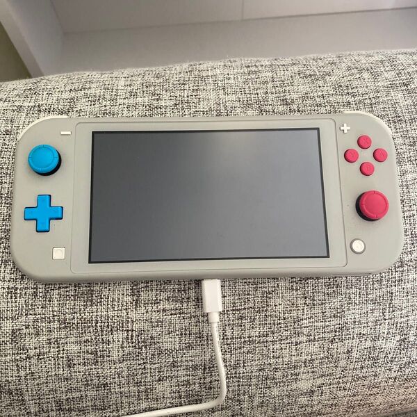 ニンテンドースイッチ Nintendo Switch ポケモン ザシアン ザマゼンタ