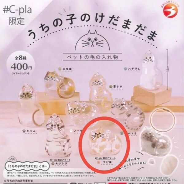 うちの子のけだまだま サビ猫 シープラ限定
