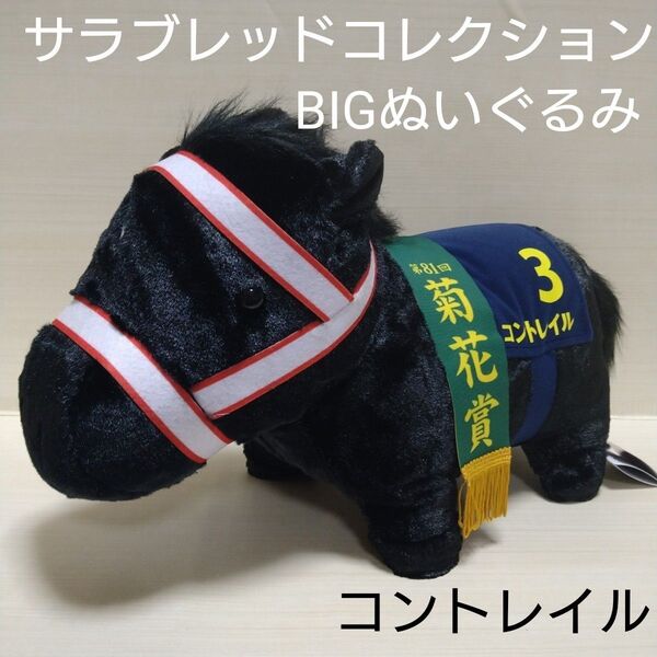 サラブレッドコレクション ふわふわBIGぬいぐるみ コントレイル