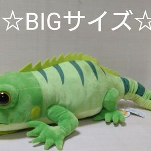 グリーンイグアナ ウルトラBIGぬいぐるみ レオパのきいちゃん なかよし トカゲ