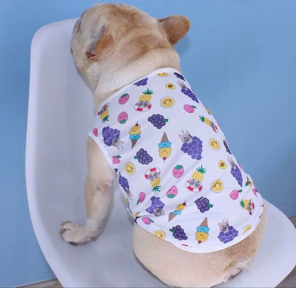 犬服 フレブル パグ ボストンテリア フレンチブルドッグ