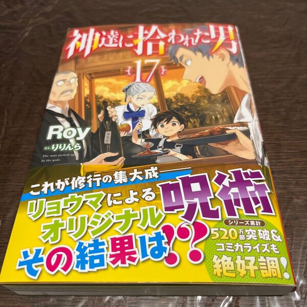 神達に拾われた男 17巻 Ryo/著 初版 ライトノベル 1読のみ ☆中古品★