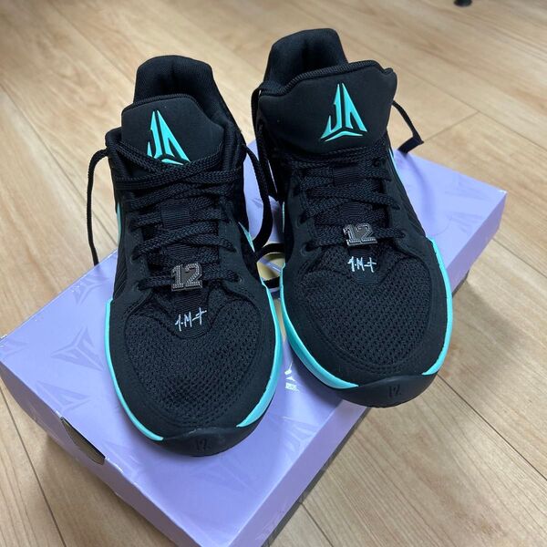 ナイキ ジャ2 "ティファニースウッシュ" Nike Ja 2 "Tiffany Swoosh" 24.5cm