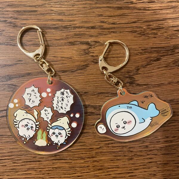 ちいかわ 水族館 オーロラアクリルキーホルダーコレクション