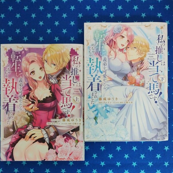 私の推しは当て馬です! 転生して義弟を可愛がったらめちゃくちゃ執着されました 上下