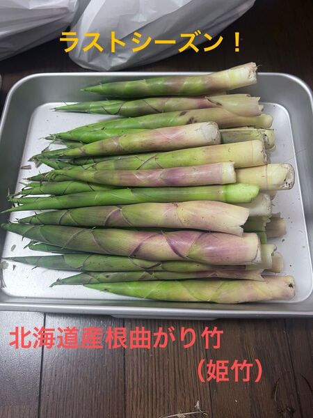 ラストシーズン!北海道産根曲がり竹(姫竹)