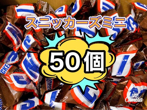 スニッカーズミニチュア 50 《化粧用コットン》