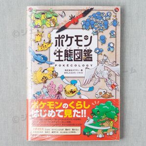 ポケモン生態図鑑 きのしたちひろ 新品 未読