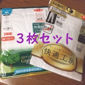 グンゼ 半ズボン下 3枚セット 前あき