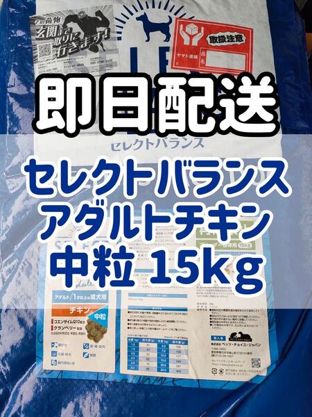 【15kg】セレクトバランス アダルトチキン 中粒ドッグフード