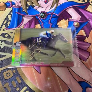 エアグルーヴ 箔押し サラブレッドホースコレクション