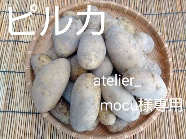 新じゃがいも 無農薬2種 5kg 詰め合わせ