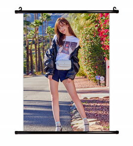 EXID ハニ HANI グッズ タベストリー 布ポスター 約41ｃｍ×57ｃｍ (G)