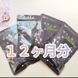 サラシアブラック シードコムス 12ヶ月分