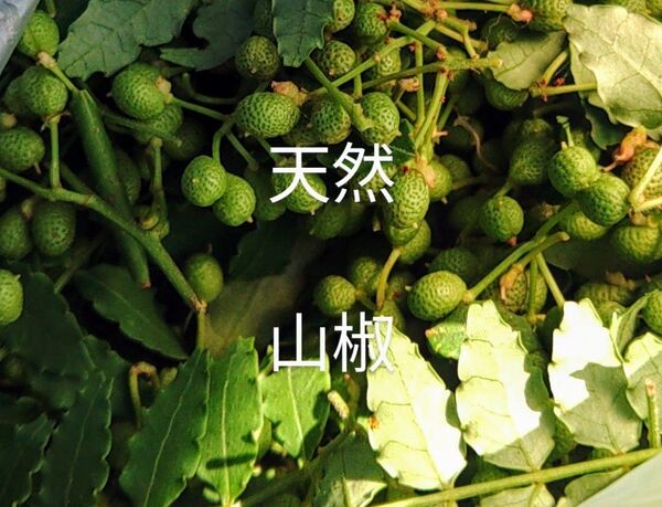 岩手県産 天然 山椒 100g