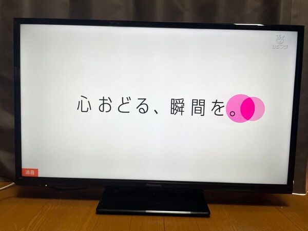Panasonic TH-32D300 32インチ液晶テレビ