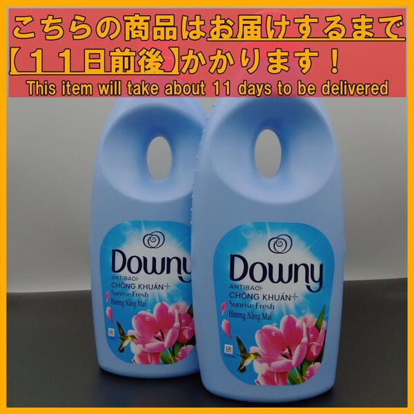 ベトナムダウニー サンライズフレッシュ ボトル本体 濃縮タイプ 900mL×2本