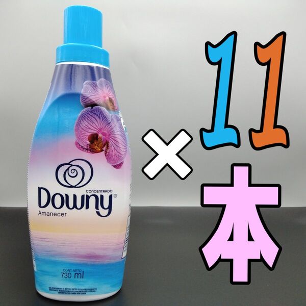 メキシコダウニー 濃縮タイプ アマネセル 730mL×11本