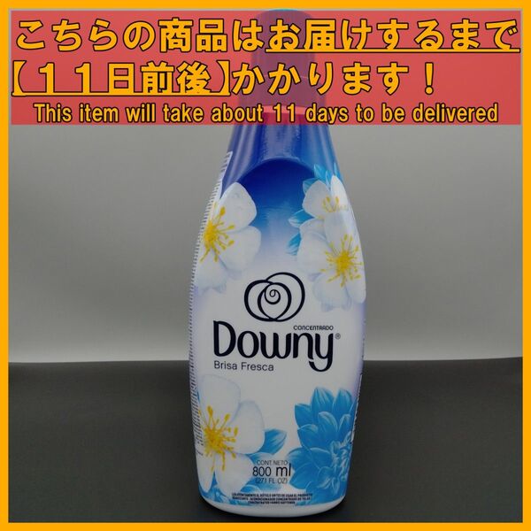 メキシコダウニー 濃縮タイプ ブリーザフレスカ 800mL×1本