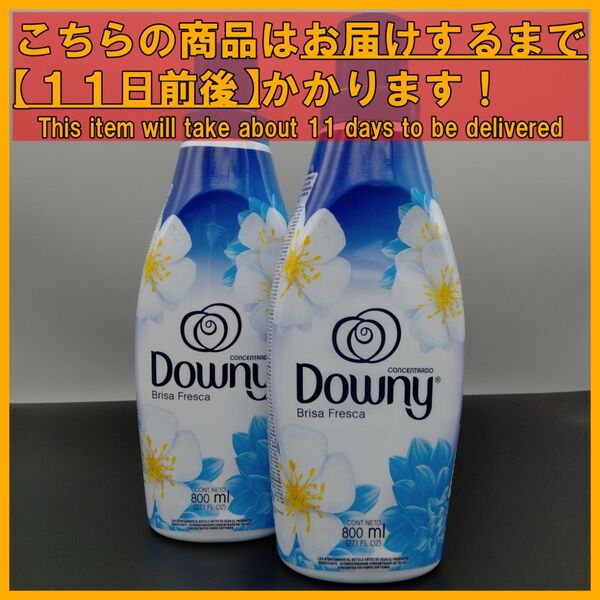 メキシコダウニー 濃縮タイプ ブリーザフレスカ 800mL×2本