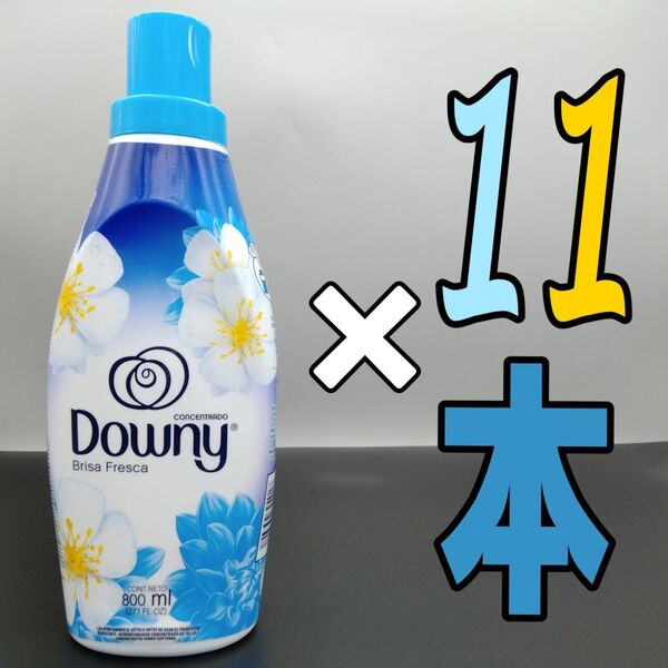 メキシコダウニー 濃縮タイプ ブリーザフレスカ 800mL×11本