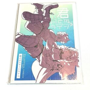 勝デク 同人誌 ヒロアカ 全年齢