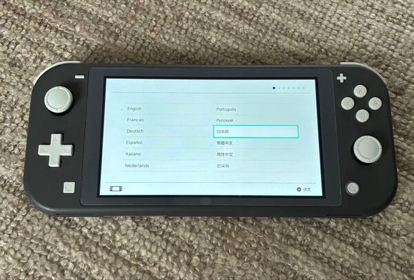 Nintendo Switch Lite グレー ※ハードケース付き!