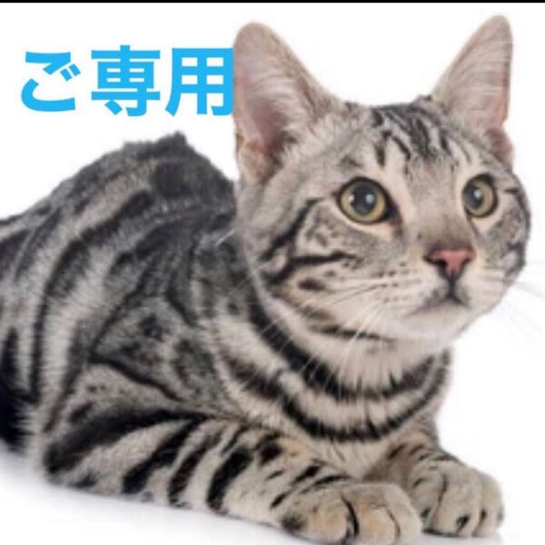 ご専用スマホアクセサリー