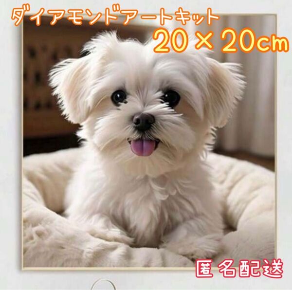 ダイヤモンドアートキット57 20cm×20cm 犬