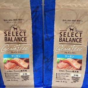 セレクトバランス グレインフリー アダルト サーモン 2.4kg×2
