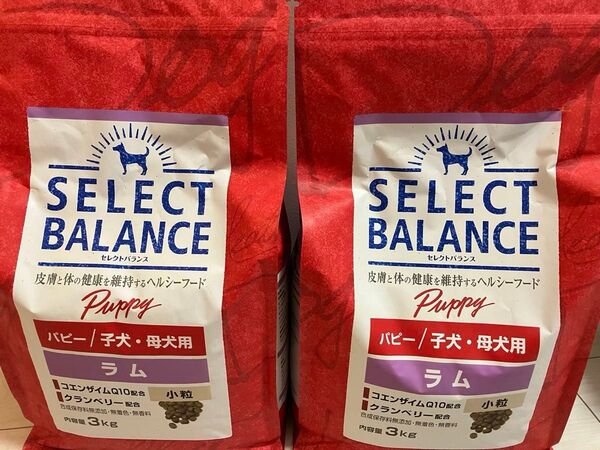 セレクトバランス パピー ラム 3kg×2