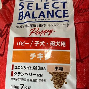 セレクトバランス パピー チキン 7kg