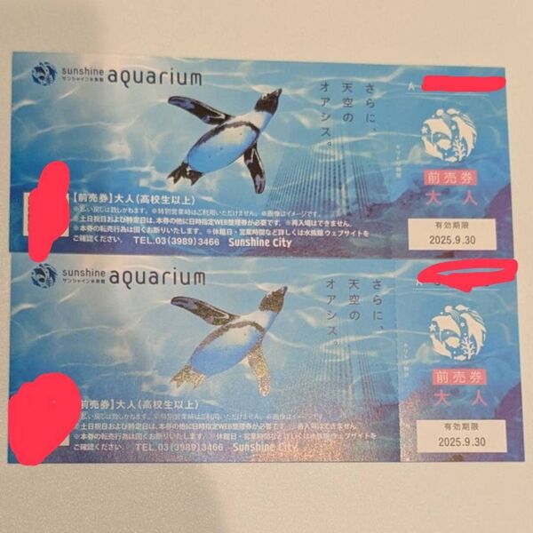サンシャイン水族館 チケット 大人2枚 前売り券