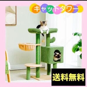 【新品】猫 ハウス タワー キャット キャットタワー ハウス