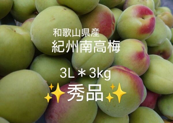 農家直送★和歌山県産/紀州南高梅★秀品 大粒 3L*3kg/梅干し 梅シロップ 梅酒 梅ジャム