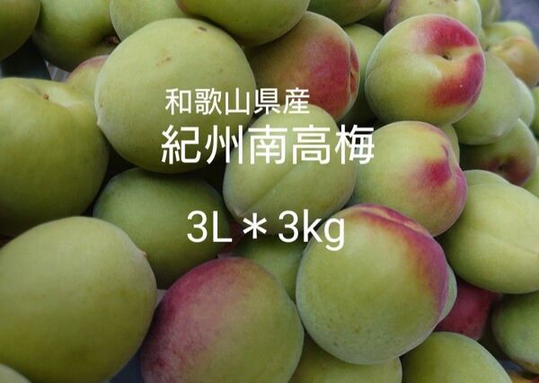 農家直送★和歌山県産/紀州南高梅★大粒 3L*3kg/梅干し 梅シロップ 梅酒 梅ジャム