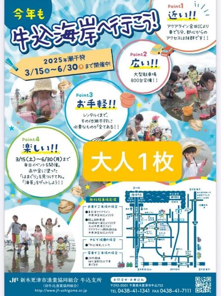 潮干狩り 木更津 金田 牛込海岸 大人1枚 入場券 お買い得 夏のレジャー に!潮干狩りチケット アサリ掘り