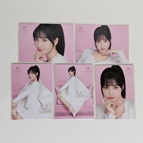 5枚 白衣装 猫 Wonjungyo ウォンジョンヨ TWICE モモ MOMO トレカ フォトカード コスメ ノベルティ