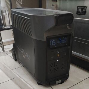 ECOFLOW ポータブル電源 DELTA PRO