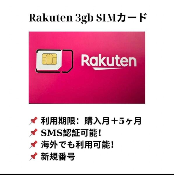 10枚 SMS認証sim 3gb