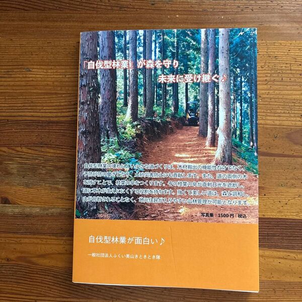 自伐型林業が面白い