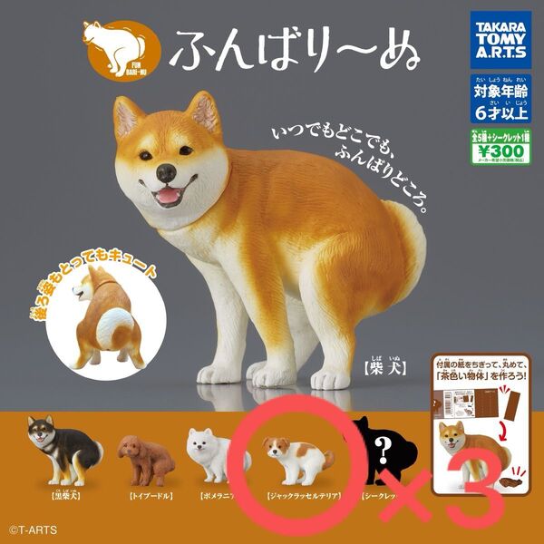 ふんばり~ぬ フィギュア ガチャ 犬 ジャックラッセルテリア 3個