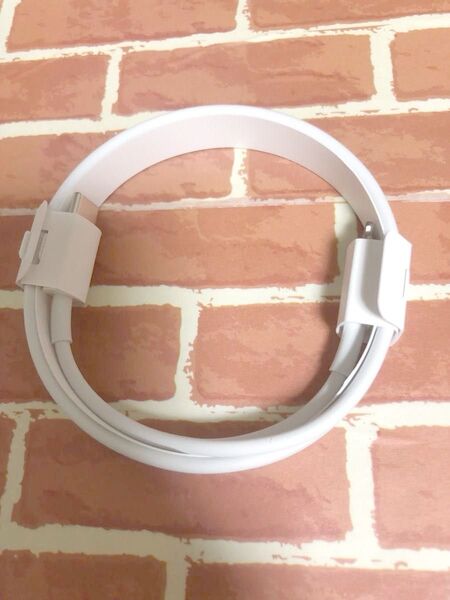 【純正】Apple ライトニングケーブル Type-C AirPods Pro付属品 充電ケーブル1m